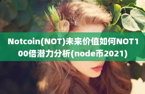 Notcoin(NOT)未来价值如何NOT100倍潜力分析(node币2021)