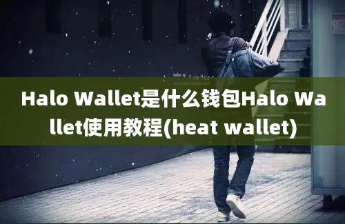 Halo Wallet是什么钱包Halo Wallet使用教程(heat wallet)