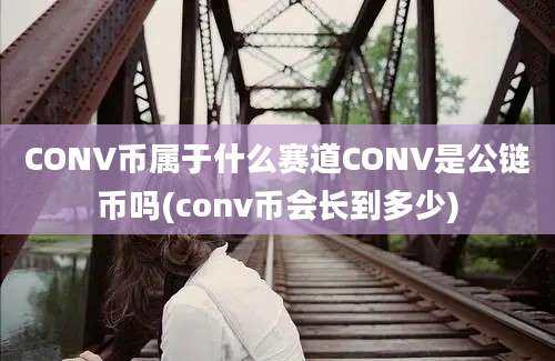 CONV币属于什么赛道CONV是公链币吗(conv币会长到多少)