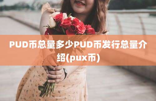 PUD币总量多少PUD币发行总量介绍(pux币)