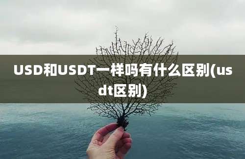 USD和USDT一样吗有什么区别(usdt区别)