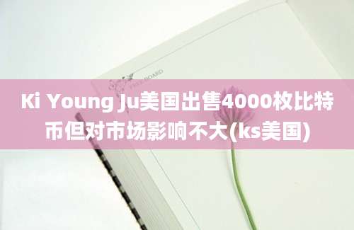 Ki Young Ju美国出售4000枚比特币但对市场影响不大(ks美国)