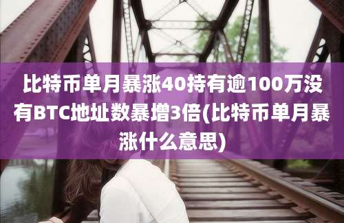 比特币单月暴涨40持有逾100万没有BTC地址数暴增3倍(比特币单月暴涨什么意思)