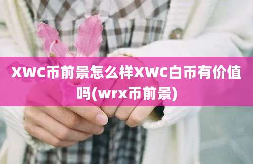 XWC币前景怎么样XWC白币有价值吗(wrx币前景)