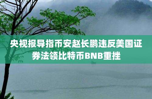 央视报导指币安赵长鹏违反美国证券法领比特币BNB重挫