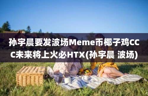 孙宇晨要发波场Meme币椰子鸡CCC未来将上火必HTX(孙宇晨 波场)