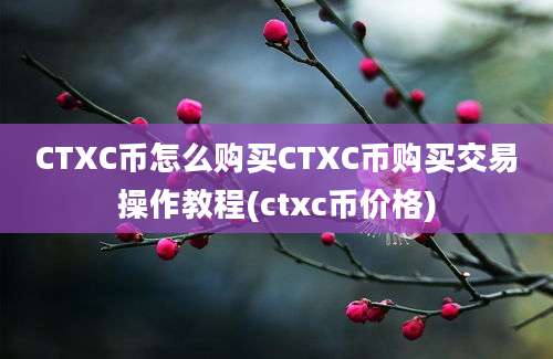 CTXC币怎么购买CTXC币购买交易操作教程(ctxc币价格)