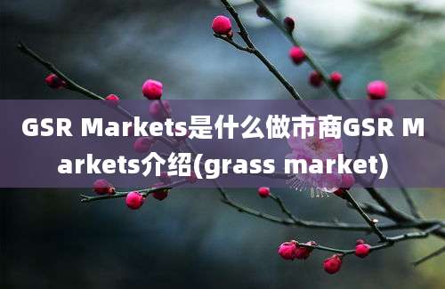 GSR Markets是什么做市商GSR Markets介绍(grass market)