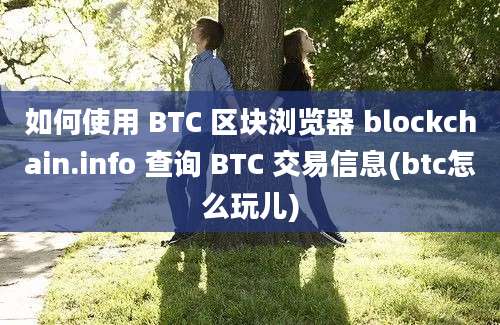 如何使用 BTC 区块浏览器 blockchain.info 查询 BTC 交易信息(btc怎么玩儿)