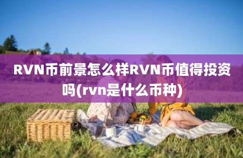 RVN币前景怎么样RVN币值得投资吗(rvn是什么币种)