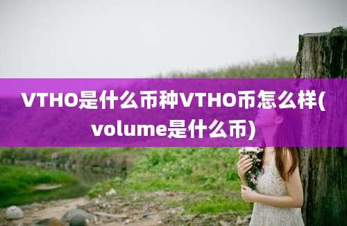 VTHO是什么币种VTHO币怎么样(volume是什么币)