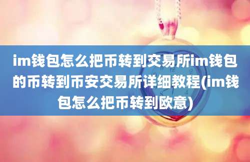 im钱包怎么把币转到交易所im钱包的币转到币安交易所详细教程(im钱包怎么把币转到欧意)