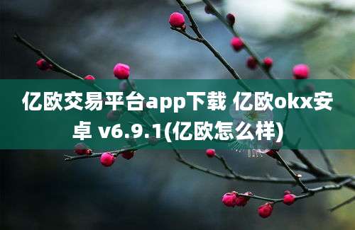 亿欧交易平台app下载 亿欧okx安卓 v6.9.1(亿欧怎么样)