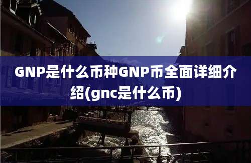 GNP是什么币种GNP币全面详细介绍(gnc是什么币)