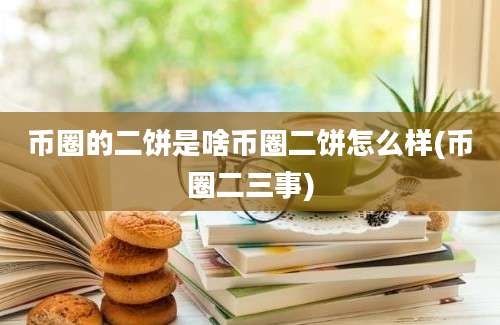 币圈的二饼是啥币圈二饼怎么样(币圈二三事)