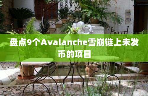 盘点9个Avalanche雪崩链上未发币的项目