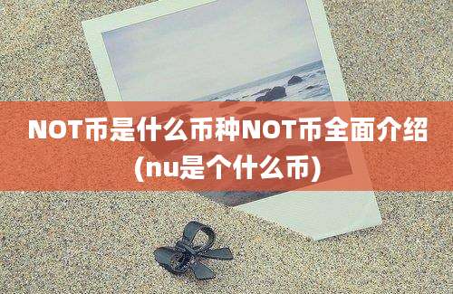 NOT币是什么币种NOT币全面介绍(nu是个什么币)