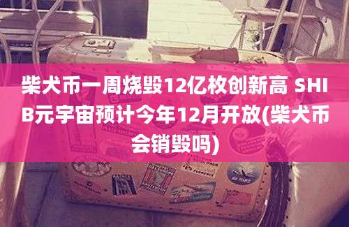 柴犬币一周烧毁12亿枚创新高 SHIB元宇宙预计今年12月开放(柴犬币会销毁吗)