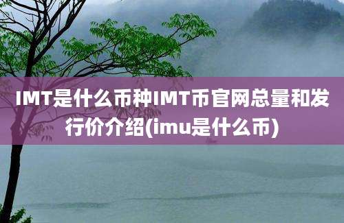 IMT是什么币种IMT币官网总量和发行价介绍(imu是什么币)