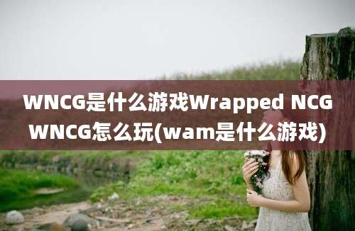 WNCG是什么游戏Wrapped NCGWNCG怎么玩(wam是什么游戏)