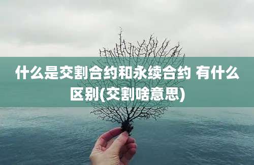 什么是交割合约和永续合约 有什么区别(交割啥意思)