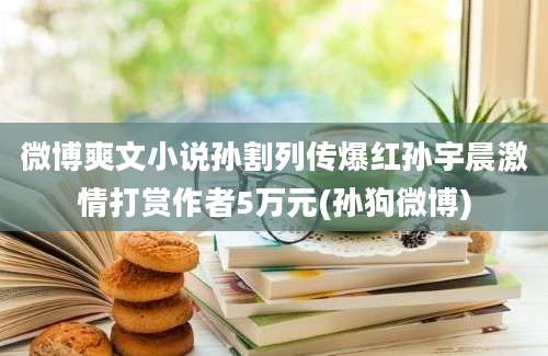 微博爽文小说孙割列传爆红孙宇晨激情打赏作者5万元(孙狗微博)