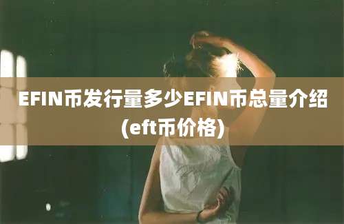 EFIN币发行量多少EFIN币总量介绍(eft币价格)