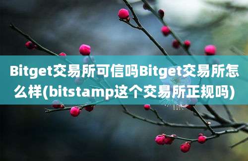 Bitget交易所可信吗Bitget交易所怎么样(bitstamp这个交易所正规吗)