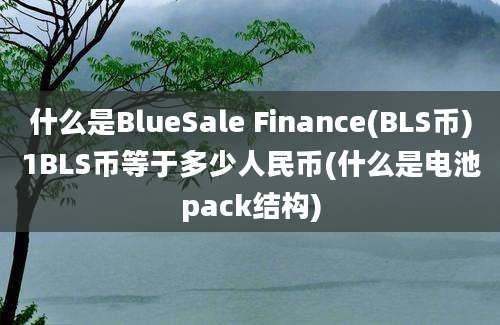 什么是BlueSale Finance(BLS币)1BLS币等于多少人民币(什么是电池pack结构)