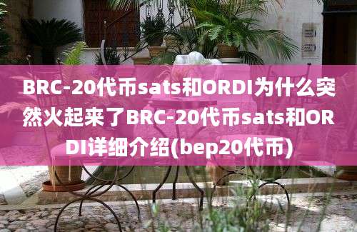 BRC-20代币sats和ORDI为什么突然火起来了BRC-20代币sats和ORDI详细介绍(bep20代币)