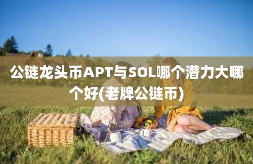 公链龙头币APT与SOL哪个潜力大哪个好(老牌公链币)