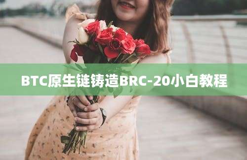 BTC原生链铸造BRC-20小白教程