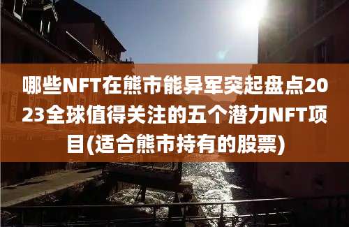 哪些NFT在熊市能异军突起盘点2023全球值得关注的五个潜力NFT项目(适合熊市持有的股票)