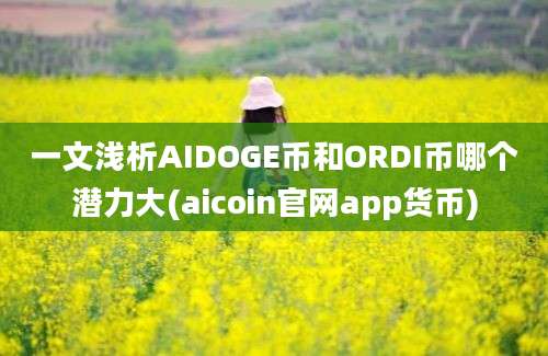 一文浅析AIDOGE币和ORDI币哪个潜力大(aicoin官网app货币)