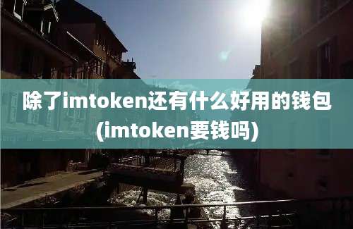 除了imtoken还有什么好用的钱包(imtoken要钱吗)