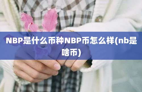 NBP是什么币种NBP币怎么样(nb是啥币)