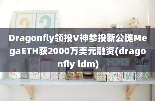 Dragonfly领投V神参投新公链MegaETH获2000万美元融资(dragonfly ldm)