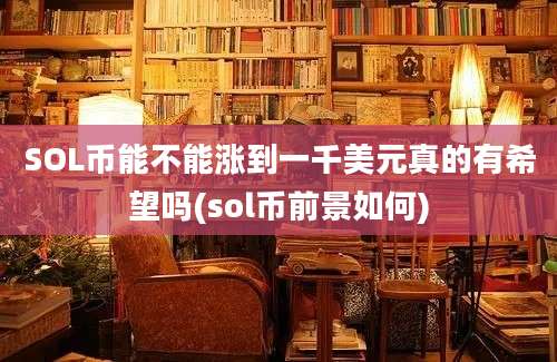 SOL币能不能涨到一千美元真的有希望吗(sol币前景如何)