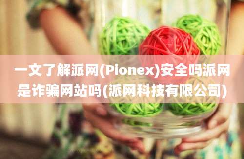 一文了解派网(Pionex)安全吗派网是诈骗网站吗(派网科技有限公司)