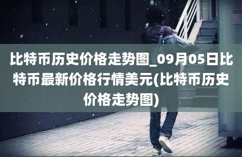 比特币历史价格走势图_09月05日比特币最新价格行情美元(比特币历史价格走势图)