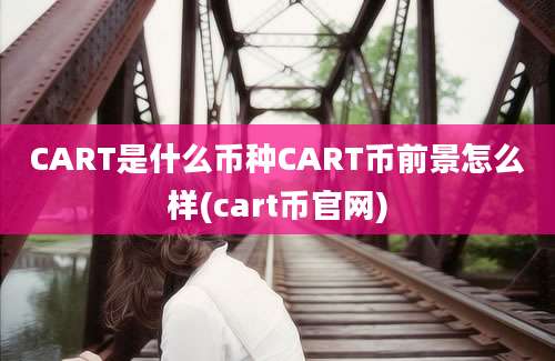 CART是什么币种CART币前景怎么样(cart币官网)