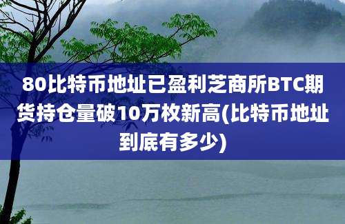 80比特币地址已盈利芝商所BTC期货持仓量破10万枚新高(比特币地址到底有多少)