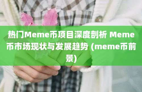 热门Meme币项目深度剖析 Meme币市场现状与发展趋势 (meme币前景)