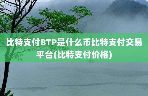 比特支付BTP是什么币比特支付交易平台(比特支付价格)