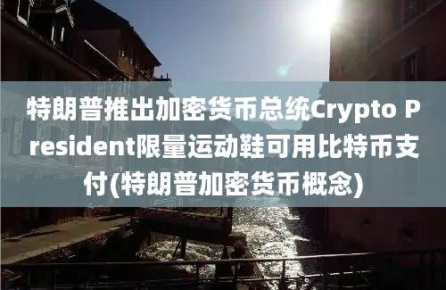 特朗普推出加密货币总统Crypto President限量运动鞋可用比特币支付(特朗普加密货币概念)