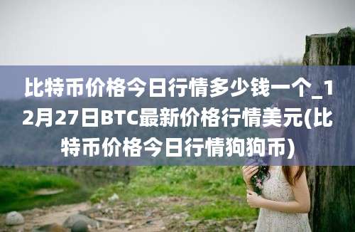 比特币价格今日行情多少钱一个_12月27日BTC最新价格行情美元(比特币价格今日行情狗狗币)