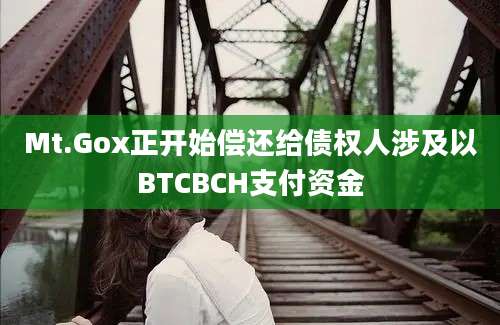 Mt.Gox正开始偿还给债权人涉及以BTCBCH支付资金