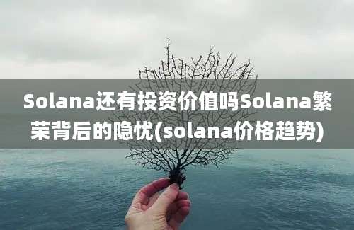 Solana还有投资价值吗Solana繁荣背后的隐忧(solana价格趋势)