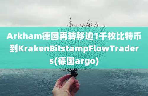 Arkham德国再转移逾1千枚比特币到KrakenBitstampFlowTraders(德国argo)