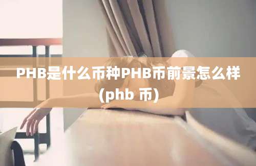 PHB是什么币种PHB币前景怎么样(phb 币)